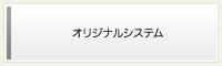 オリジナルシステム